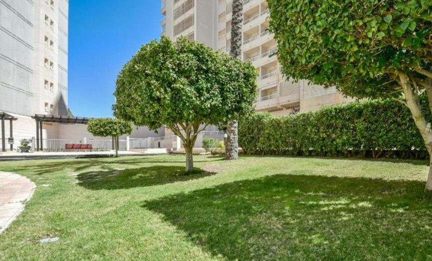 Homeincalpe Apolo XVII 1-14-41 Calpe Exterior foto